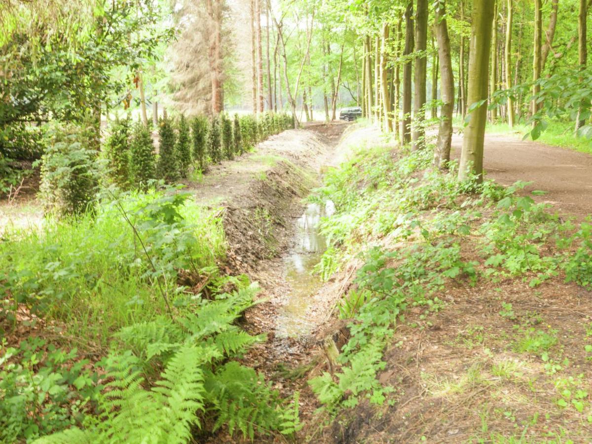 Cozy Holiday Home Near Forest In Baarn Exterior foto